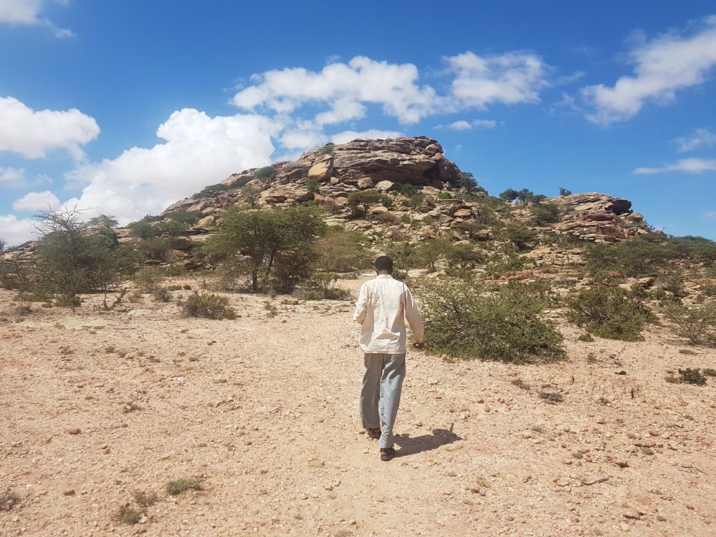 somaliland somalia hargeisa laas geel cave paintings