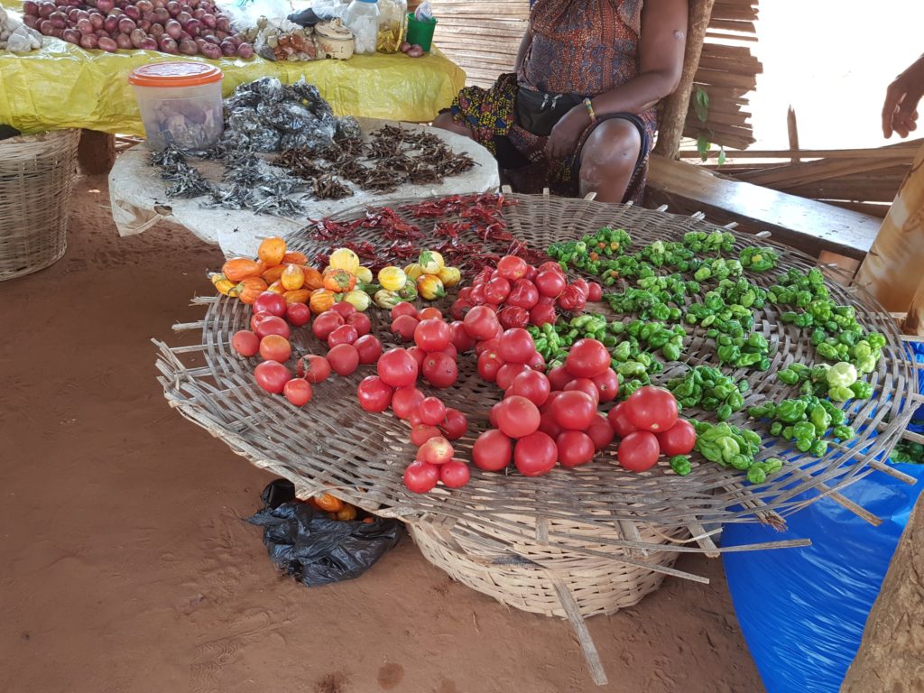 togo west africa travel lomé