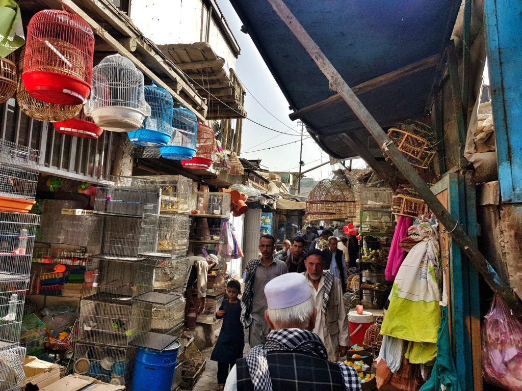 afghanistan kabul bird market