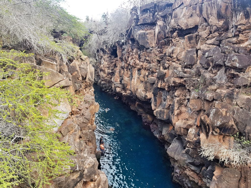 galapagos santa cruz las grietas