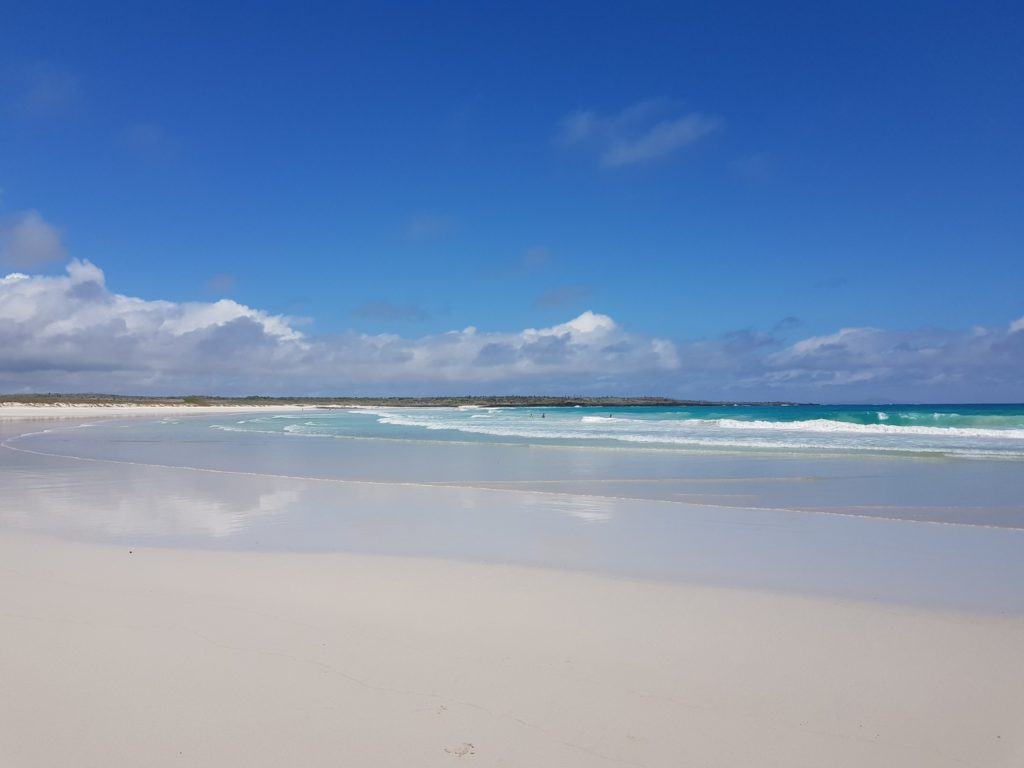 galapagos tortuga bay beach