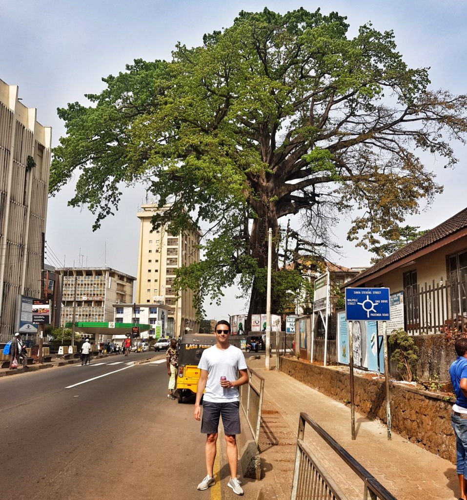 cotton tree freetown