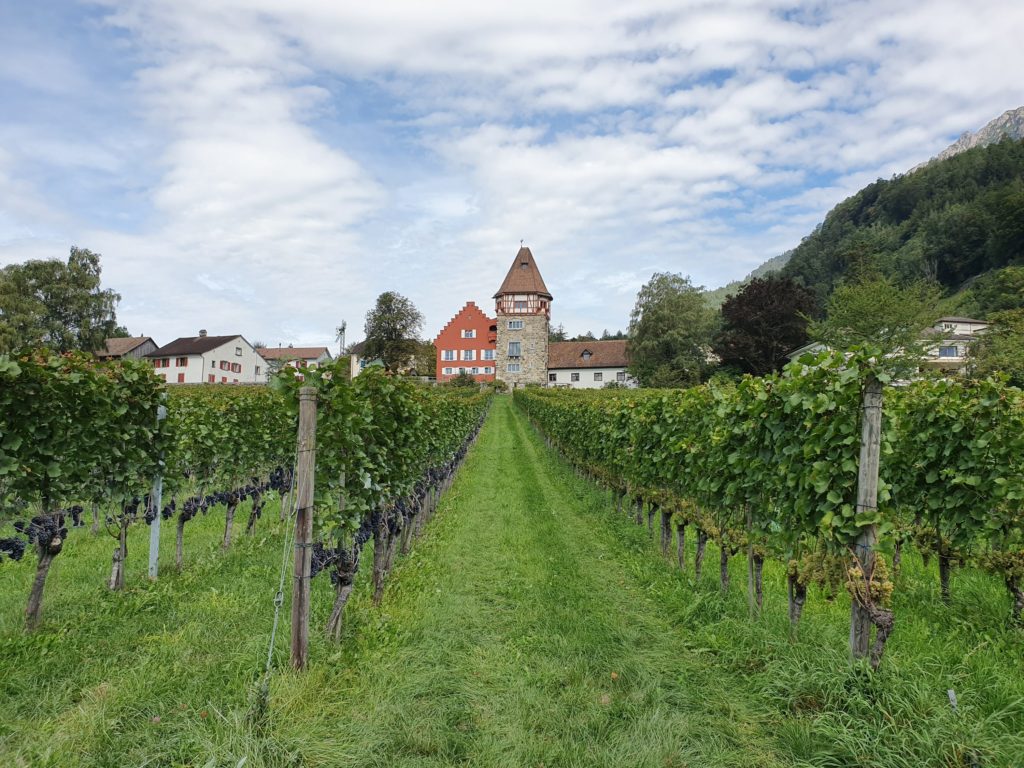 vaduz red house