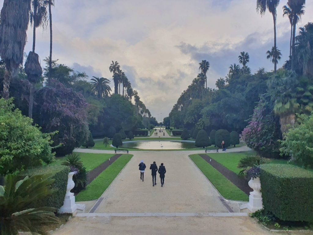 algeria algiers botanical garden