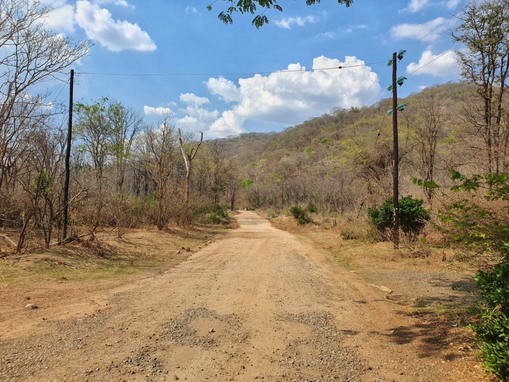 liwonde nationalpark malawi