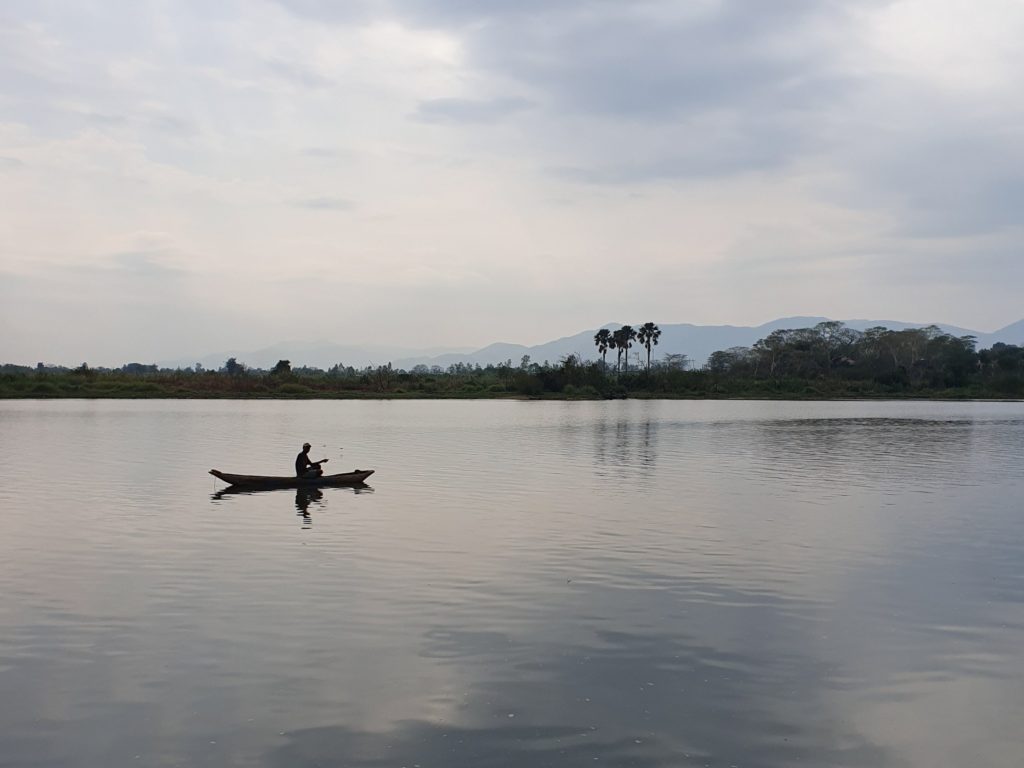 shire river liwonde