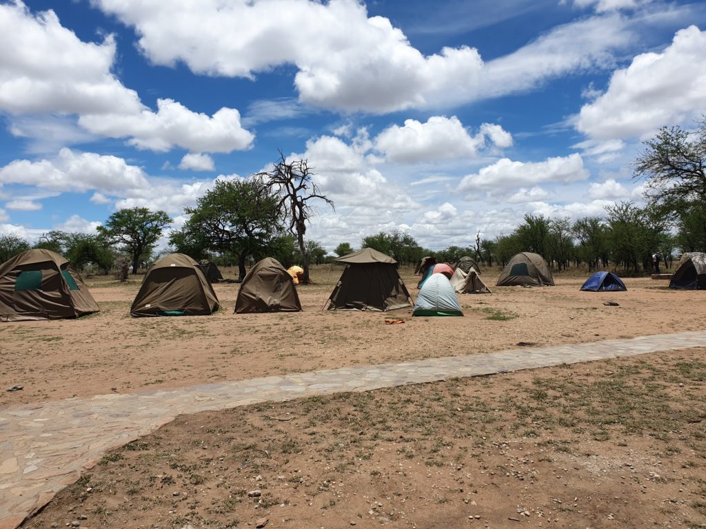 serengeti camp site 