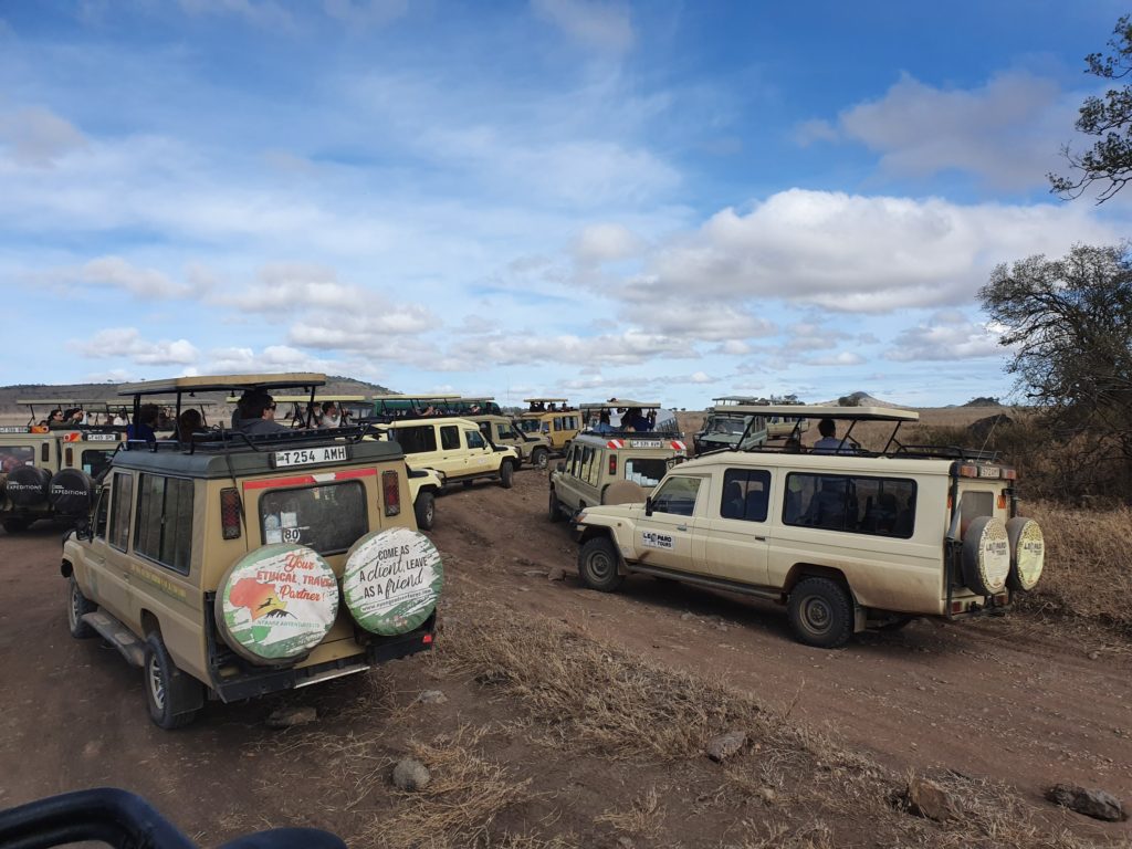 serengeti safari car madness