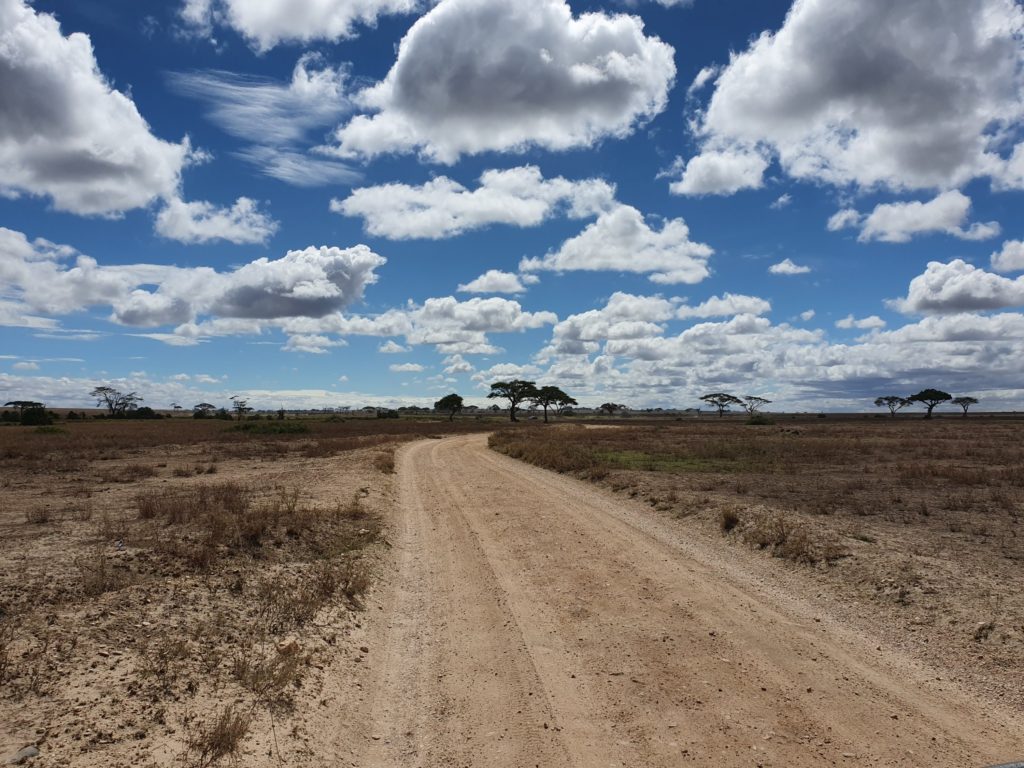 tanzania serengeti scenery