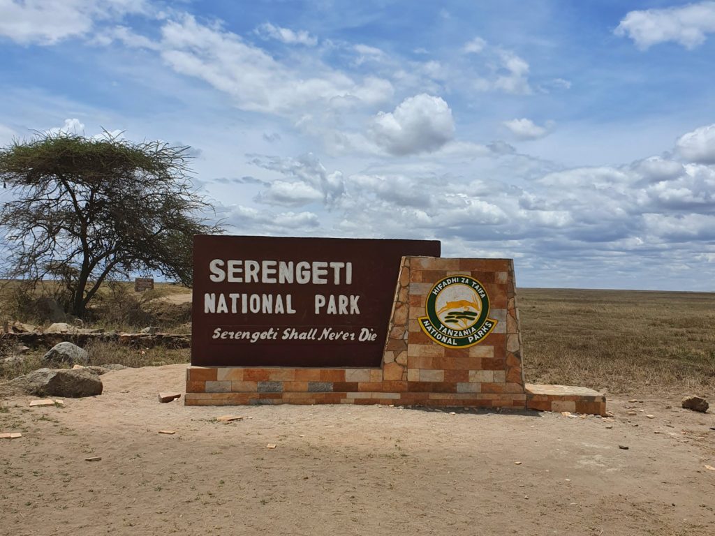 tanzania serengeti national park