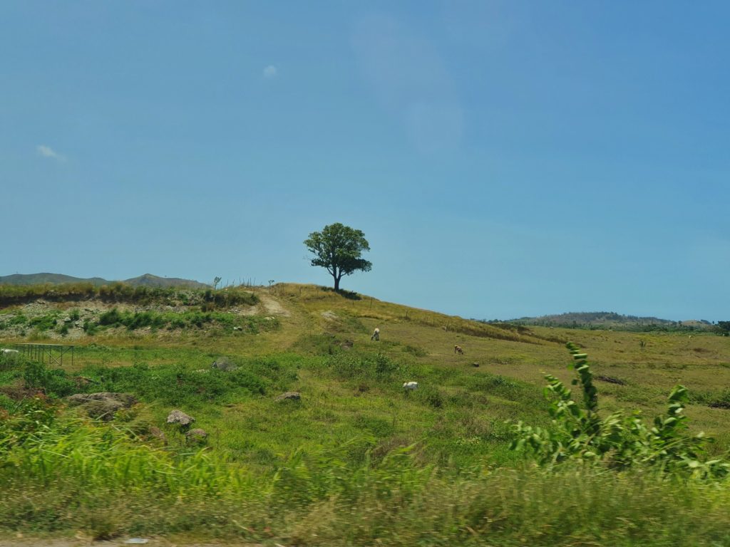 viti levu fiji green landscape