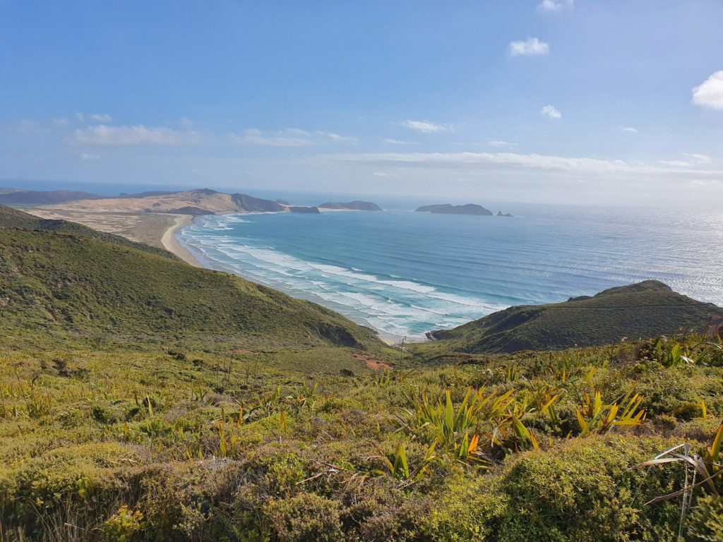 cape reinga new zealand