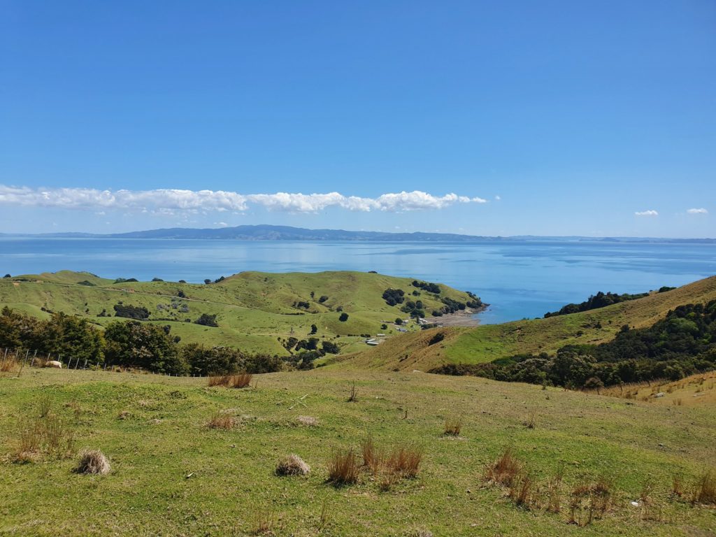 coromandel peninsula viewpoint