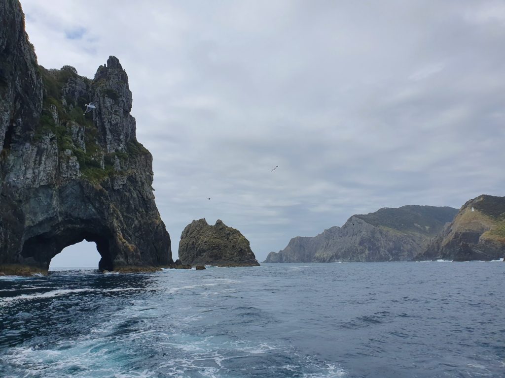 new zealand northland bay of islands