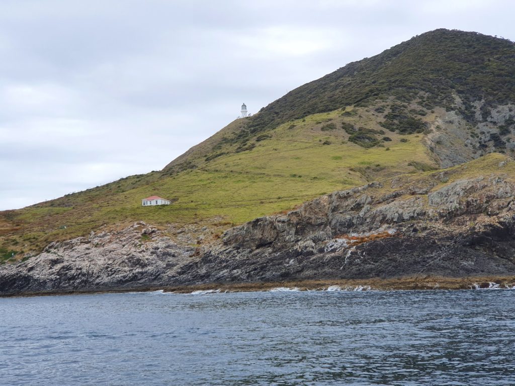 new zealand bay of islands