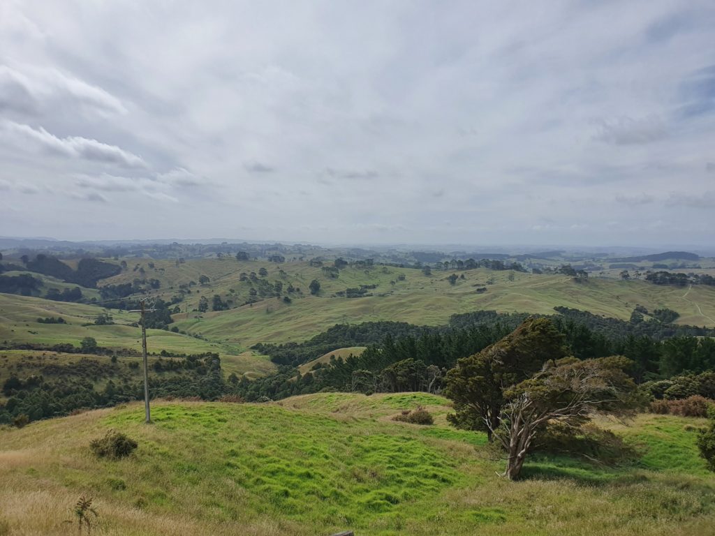 new zealand landscapes