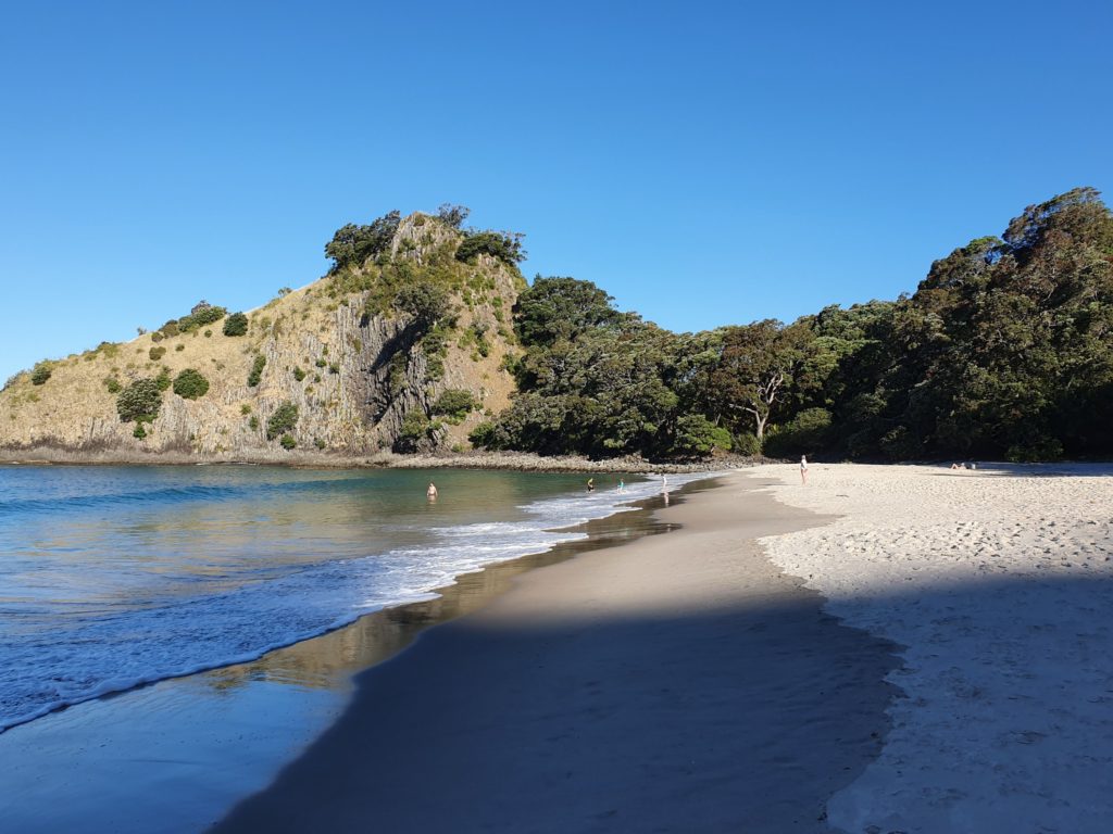 new zealand chums beach