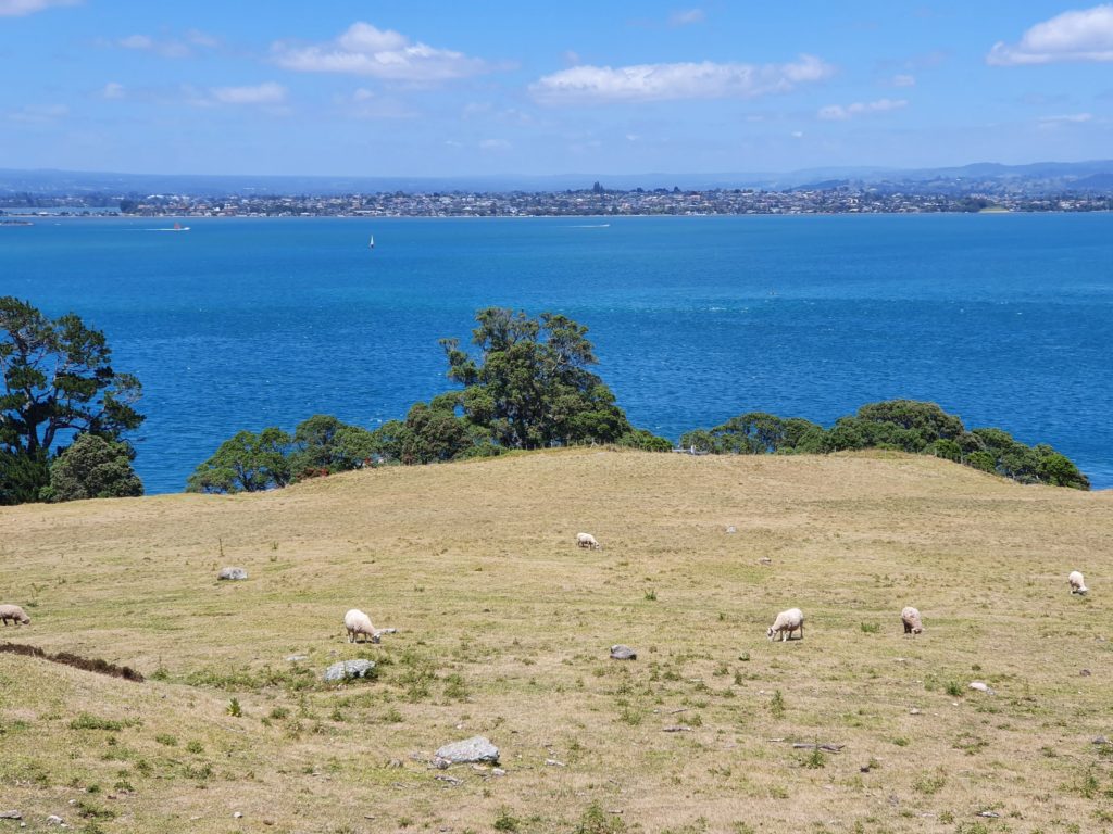 mount maunganui new zealand