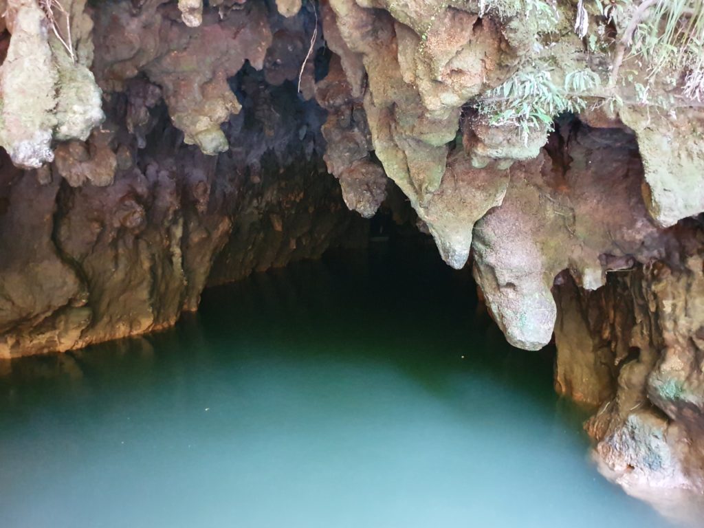 waitomo glowworm cave