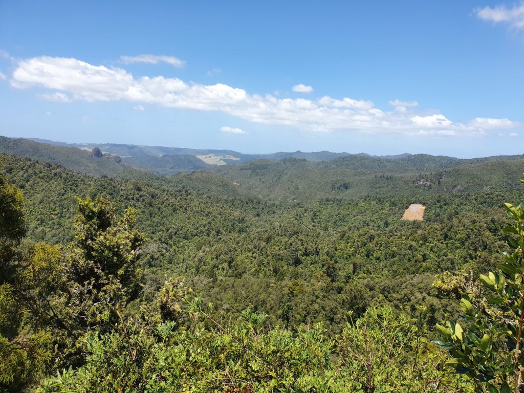 viewpoint north island