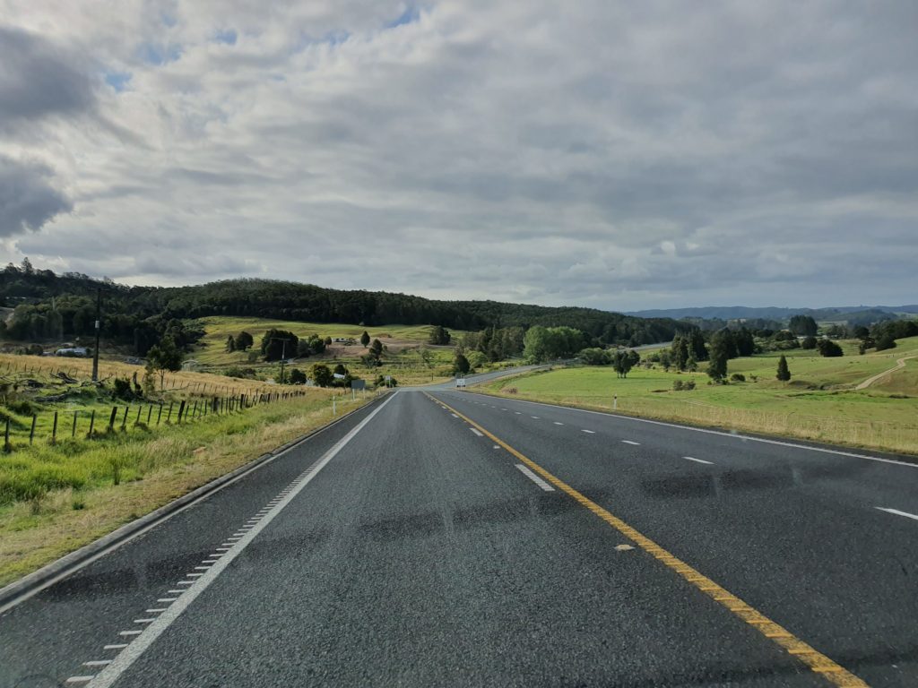 new zealand road trip