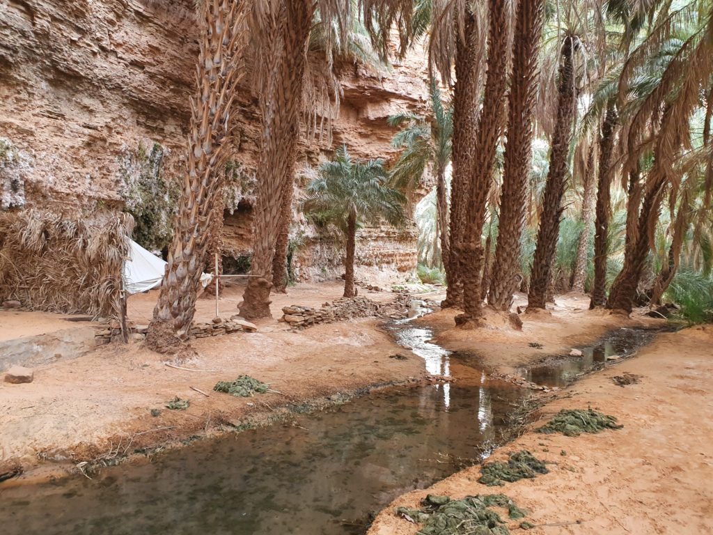 mauritania terjit desert oasis