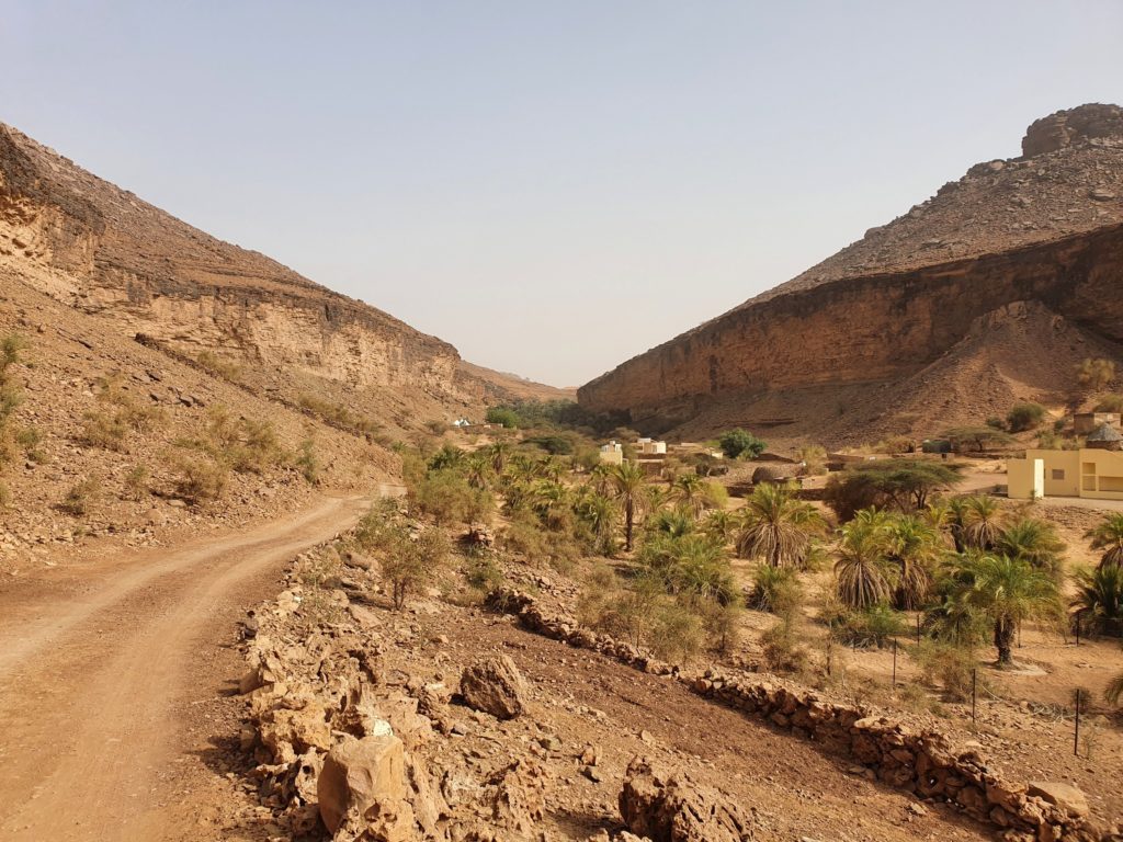 mauritania terjit desert oasis