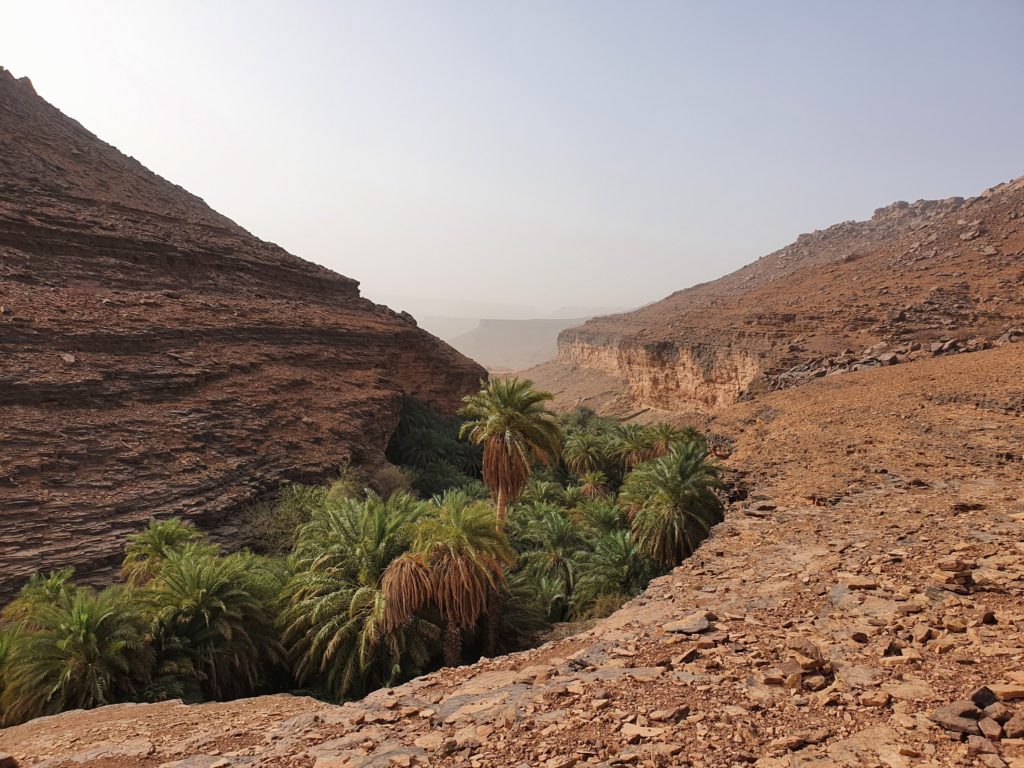 mauritania terjit desert oasis