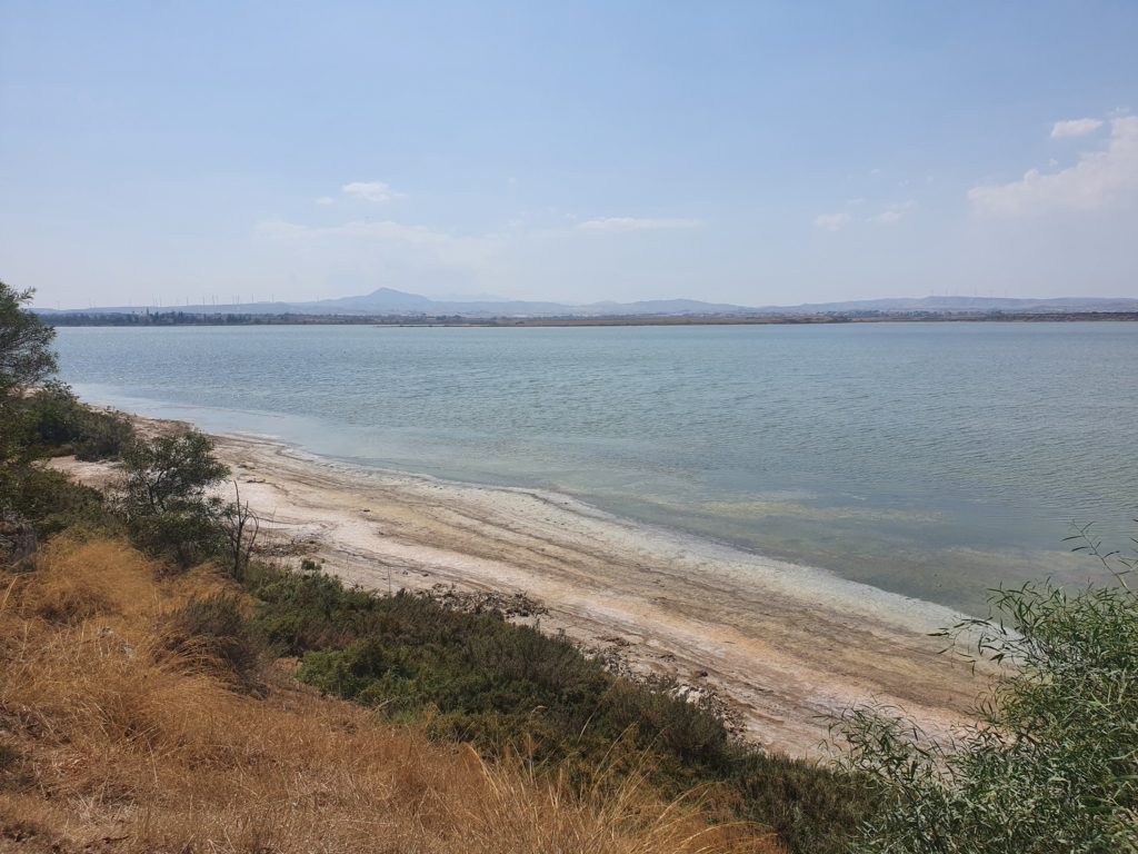 cyprus larnaca salt lake