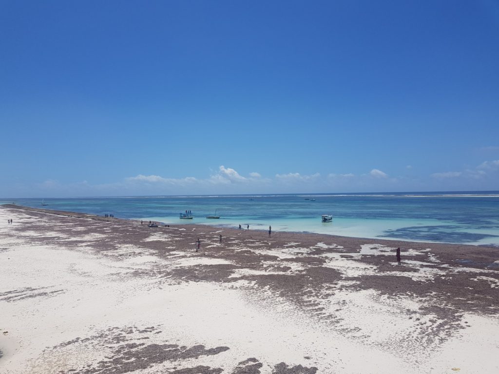 diani beach mombasa kenya