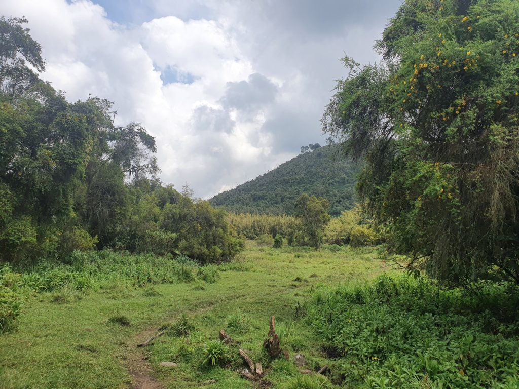 rwanda volcanoes national park landscape