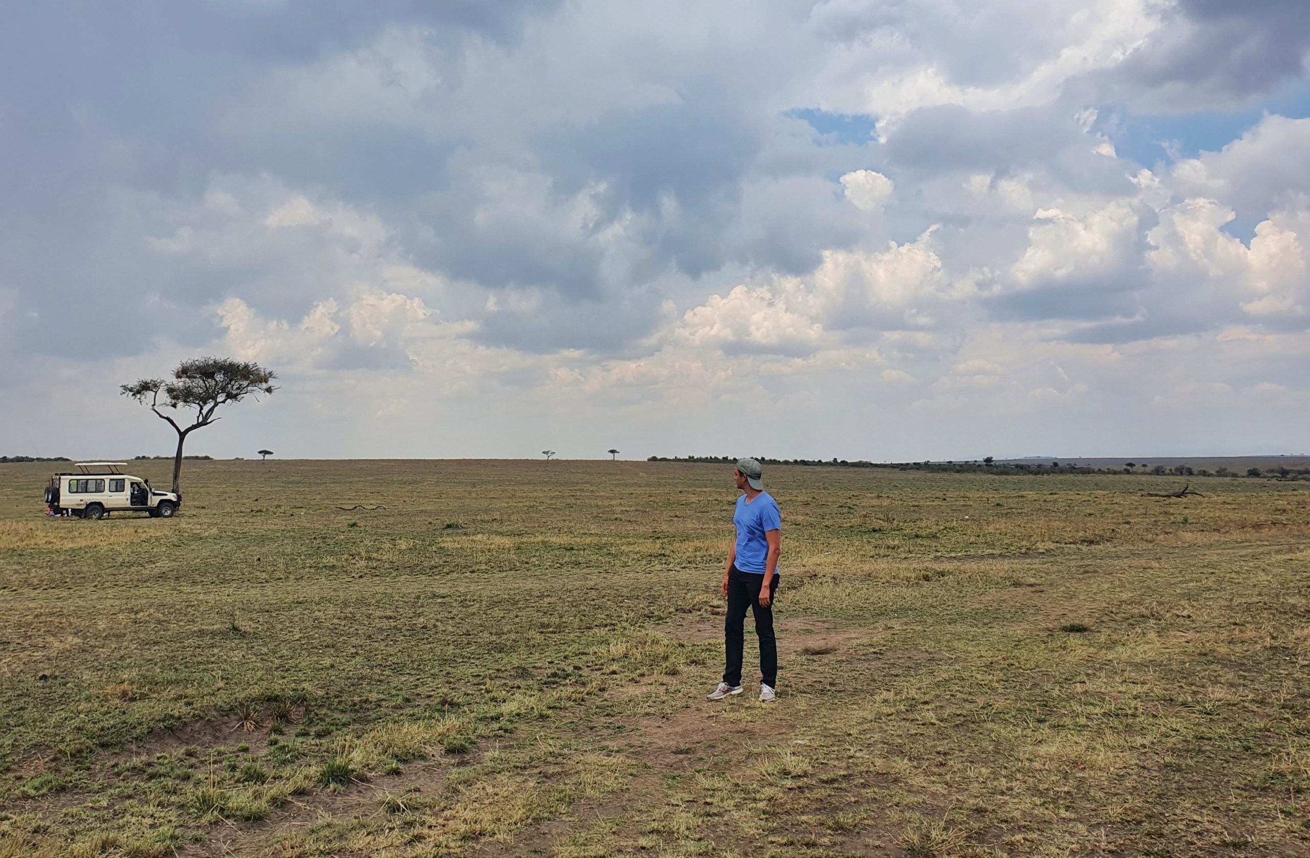 kenya masai mara