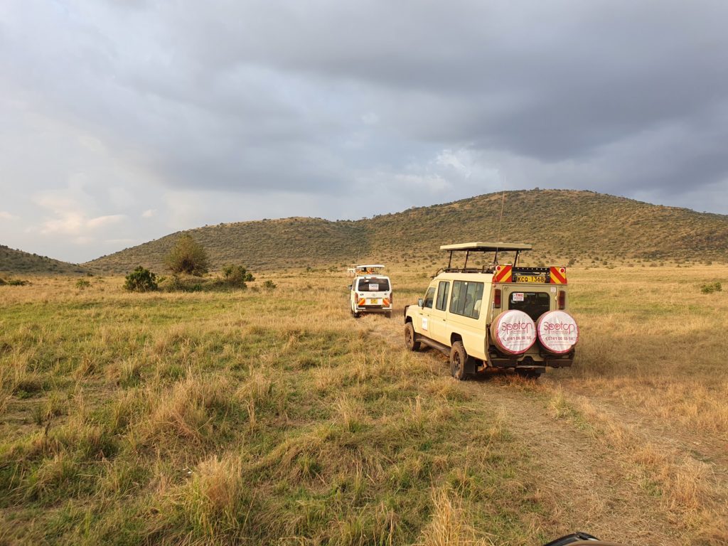 masai mara landcruiser