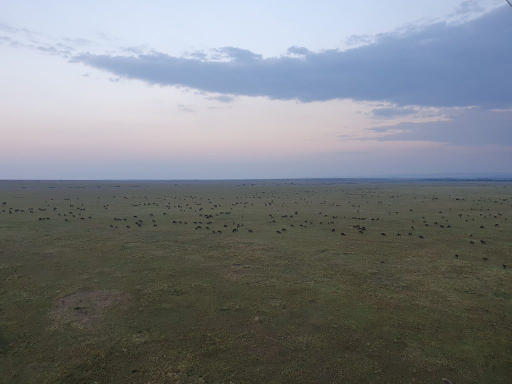 balloon safari masai mara kenya