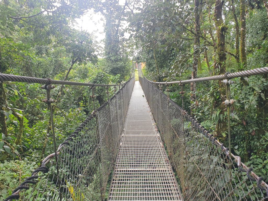 mistico hanging bridges la fortuna