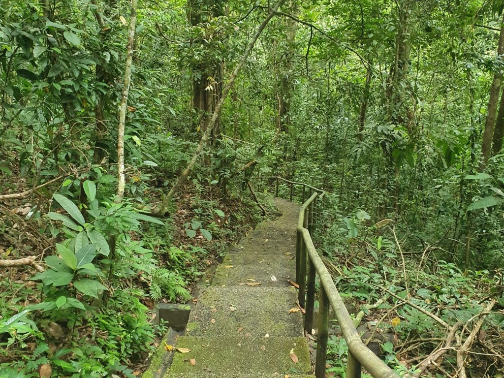 manuel antonio national park