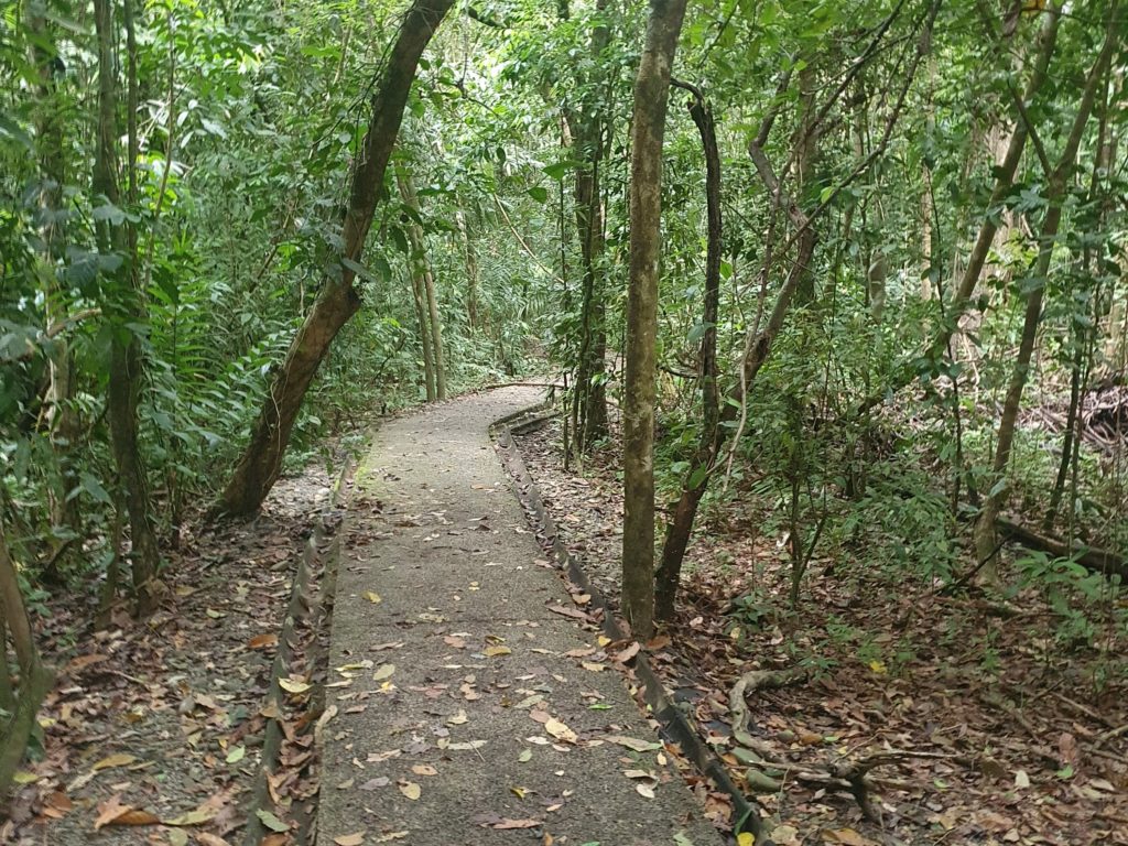 manuel antonio national park