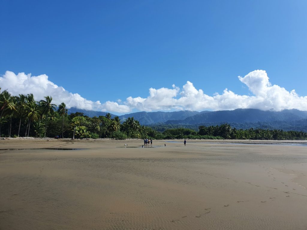 uvita beach