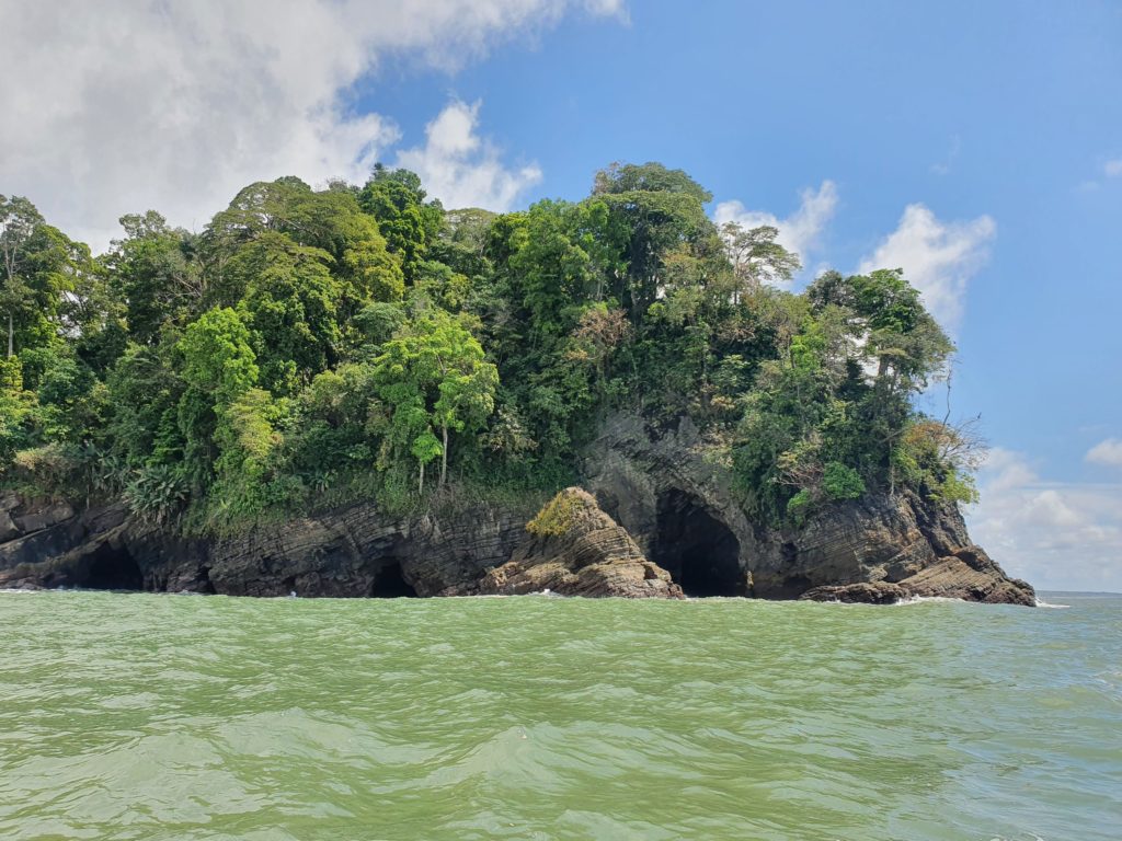 marino ballena national park uvita