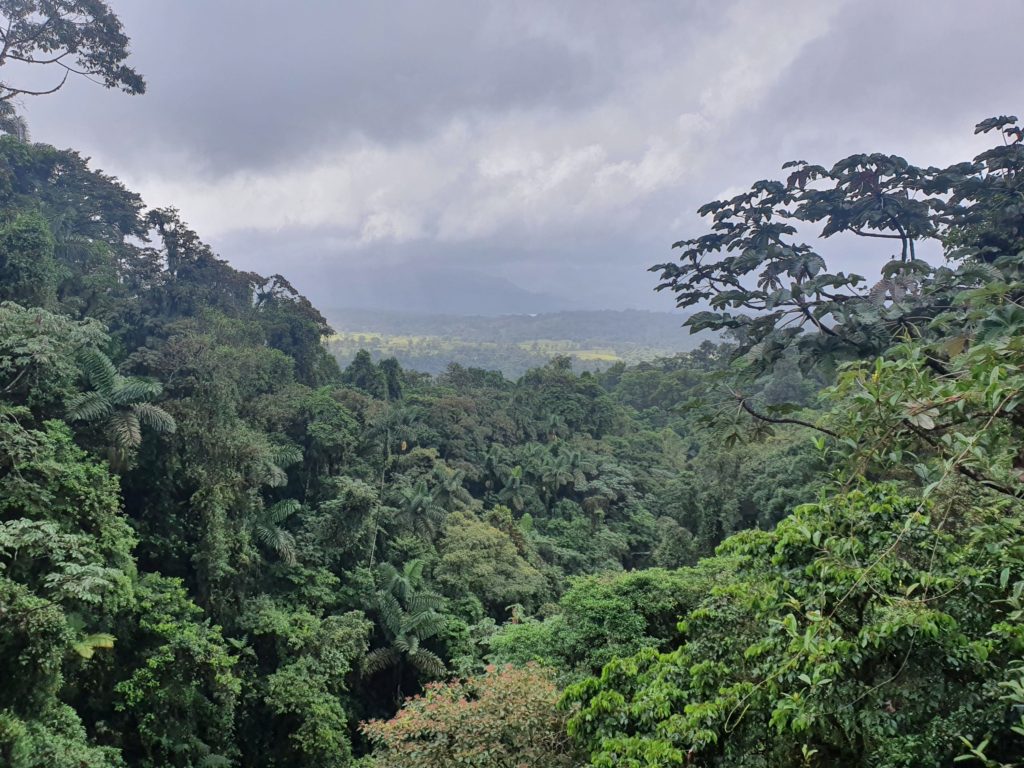 mistico hanging bridges costa rica