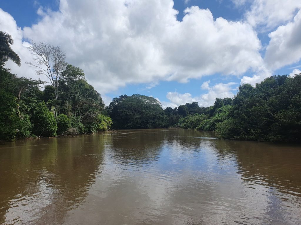 caño negro costa rica