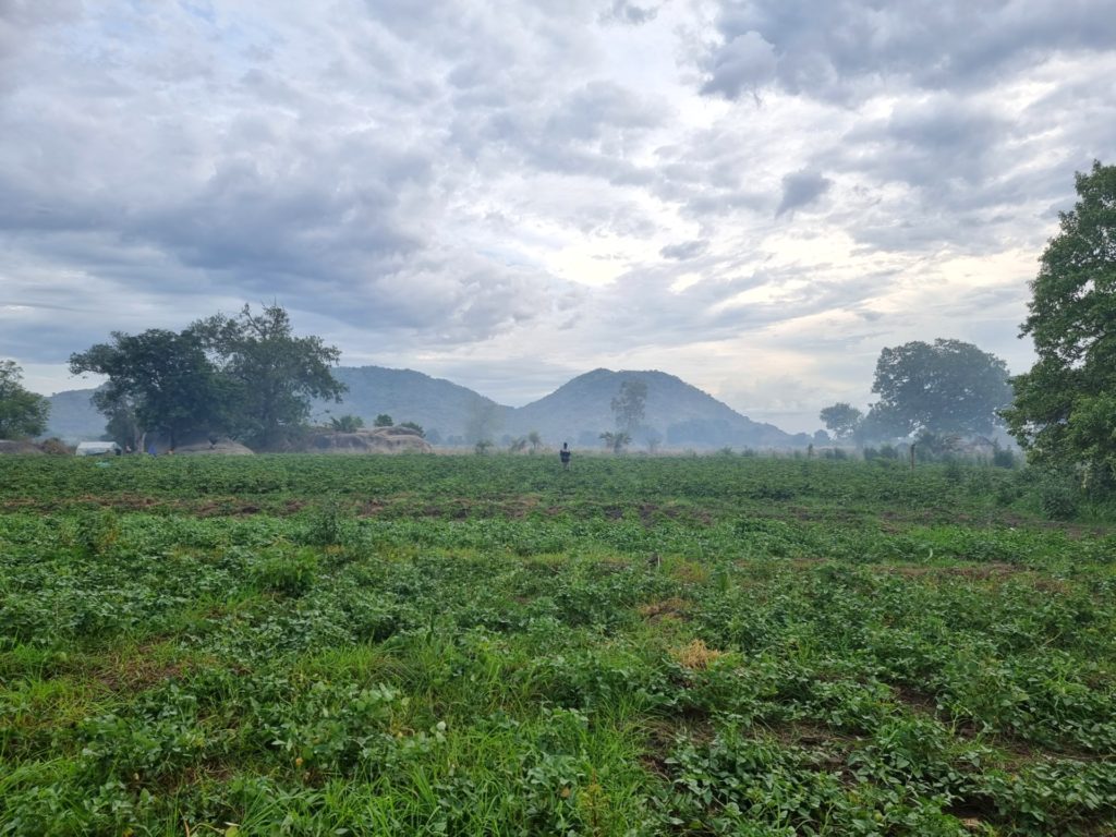 south sudan nature