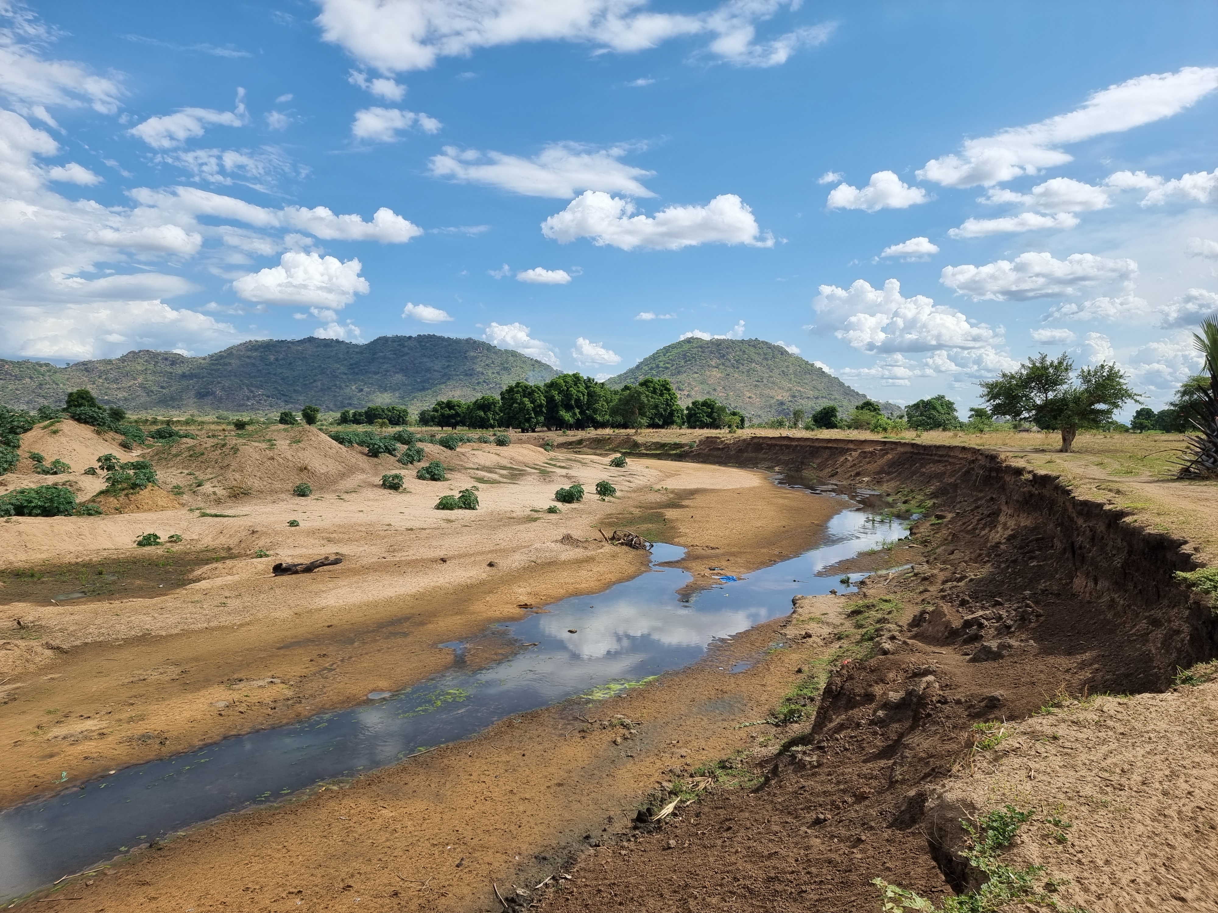 south sudan nature