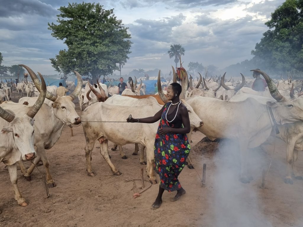 mundari cattle camp