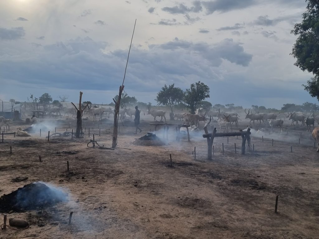 mundari cattle camp