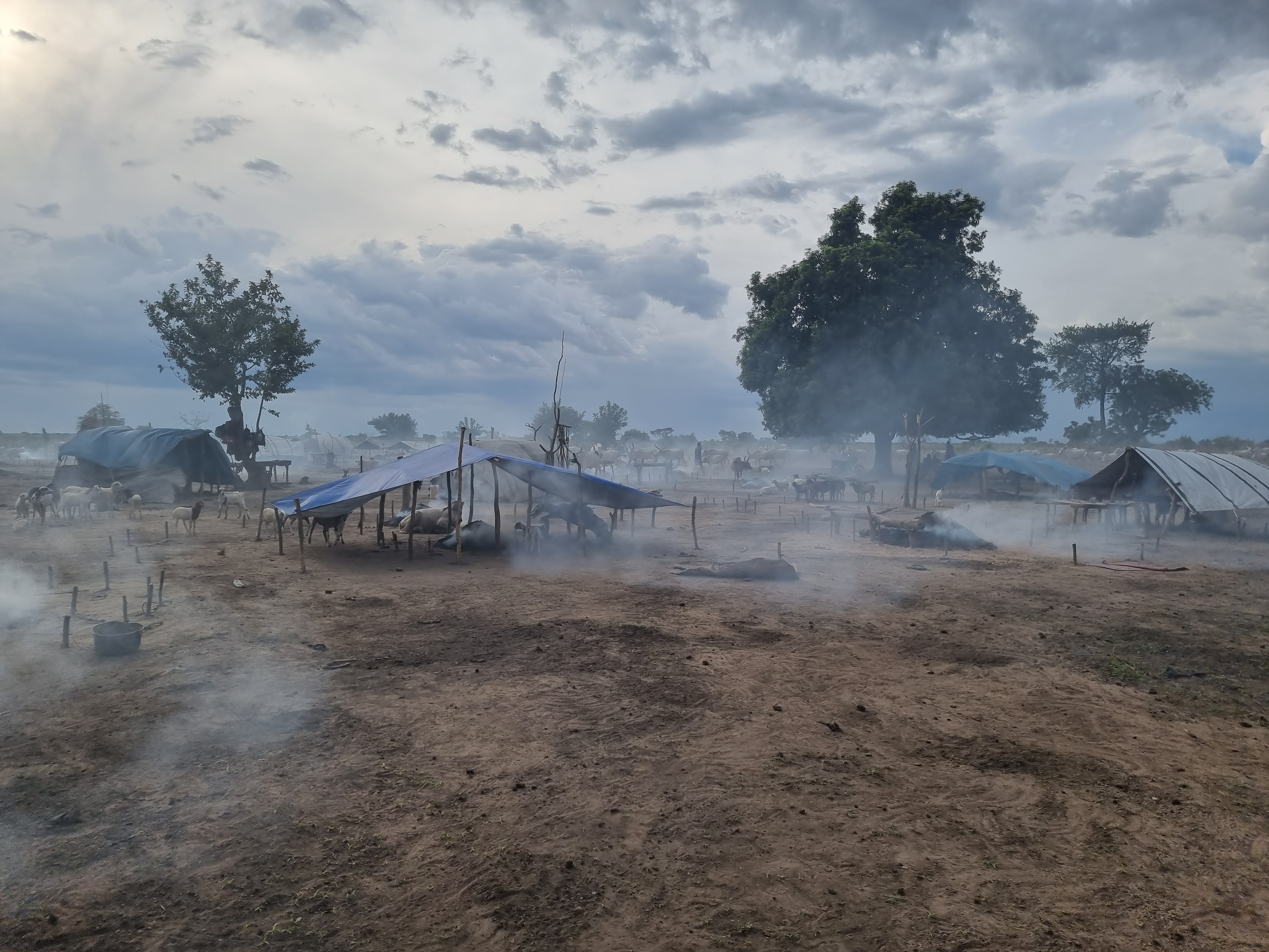 mundari cattle camp south sudan