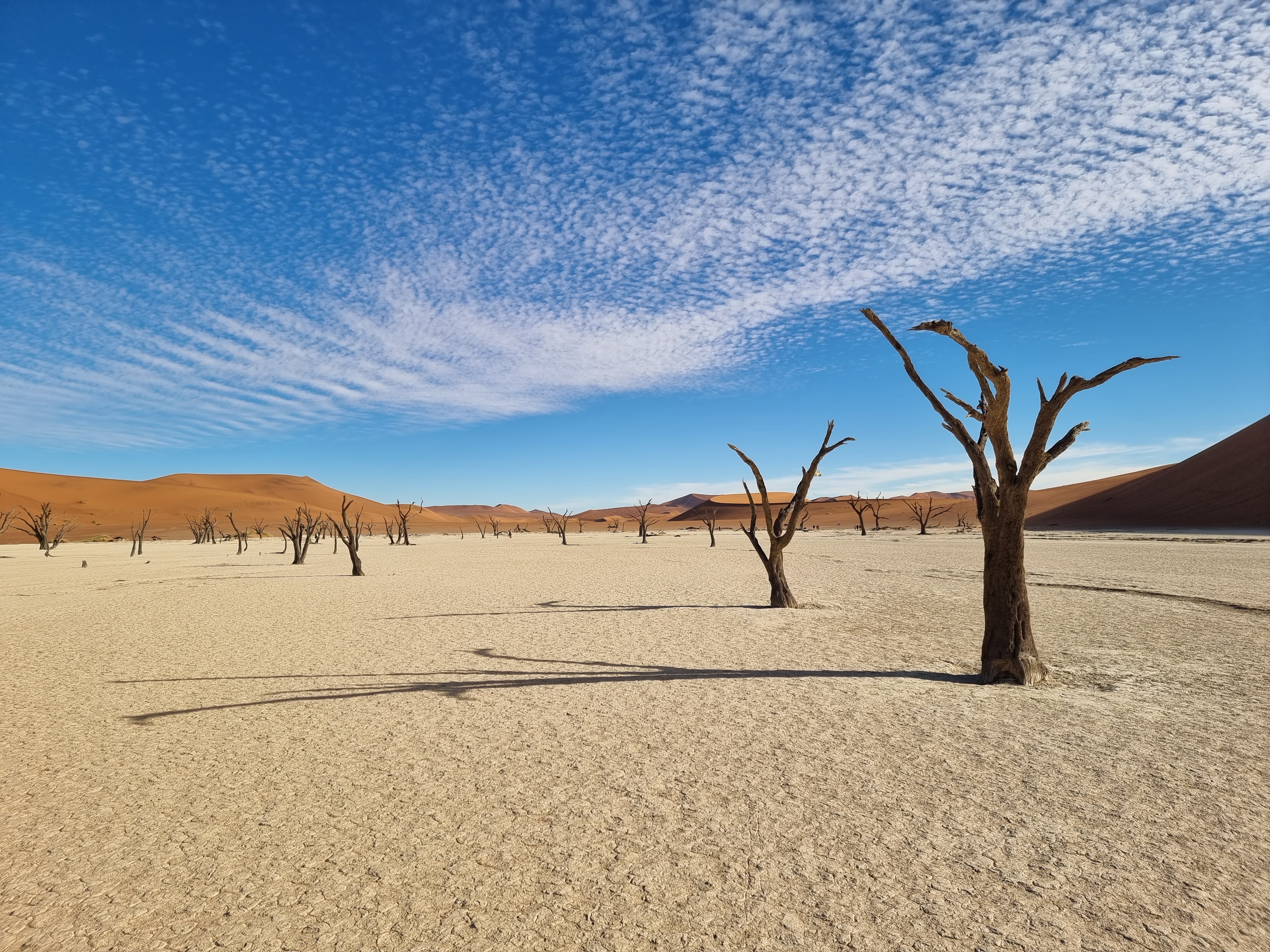 namibia sossusvlei deadvlei