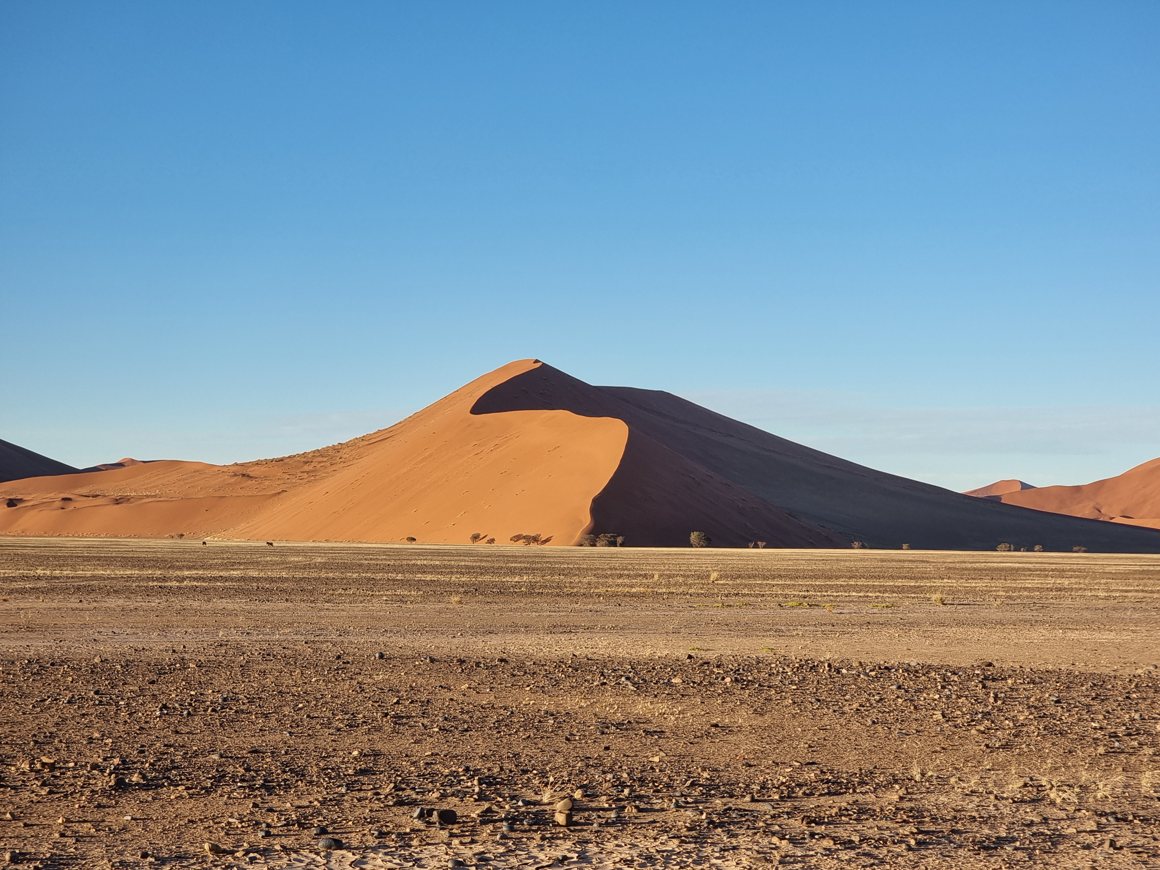 dune45 soussusvlei namibia