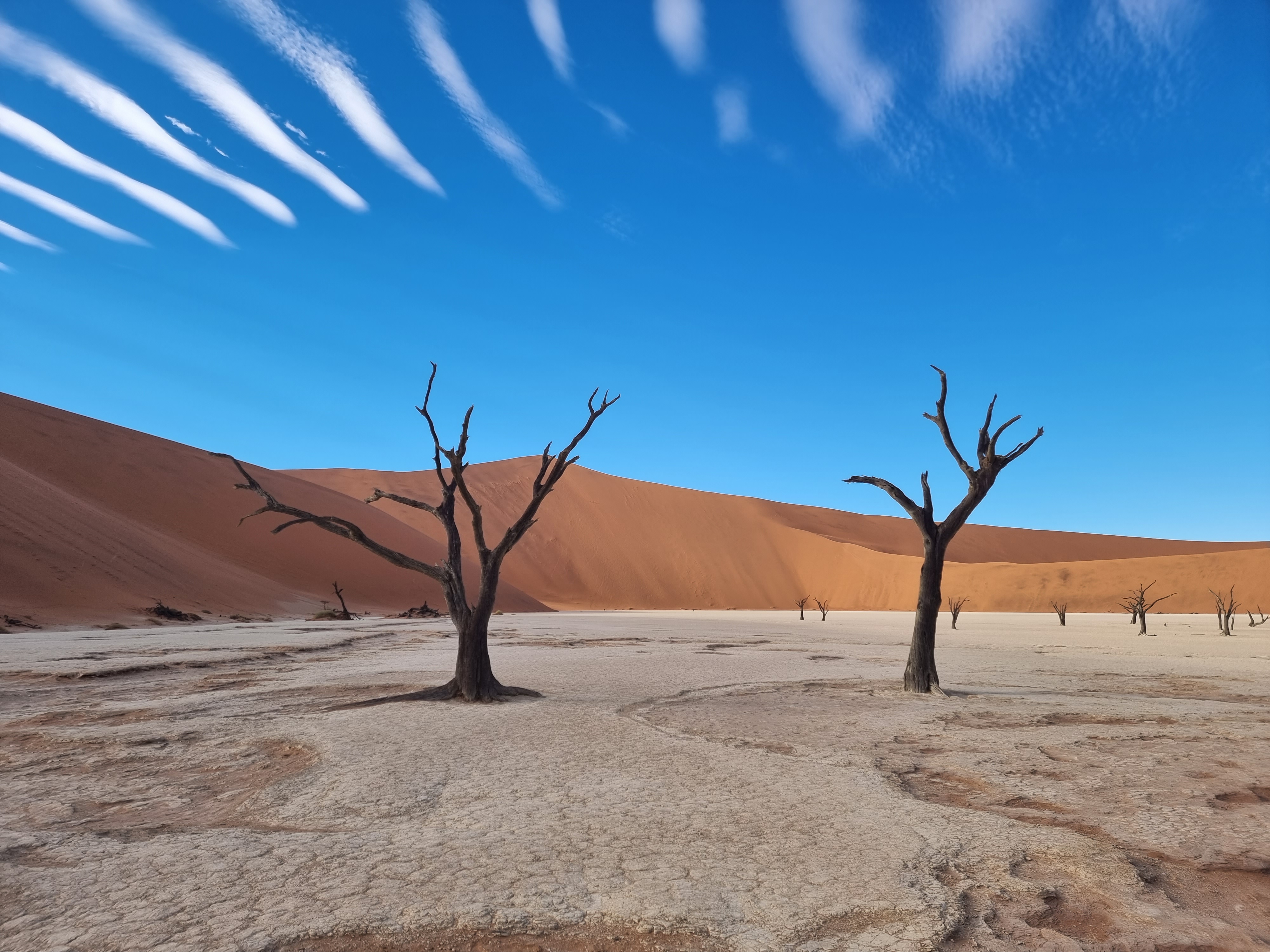 namibia deadvlei 