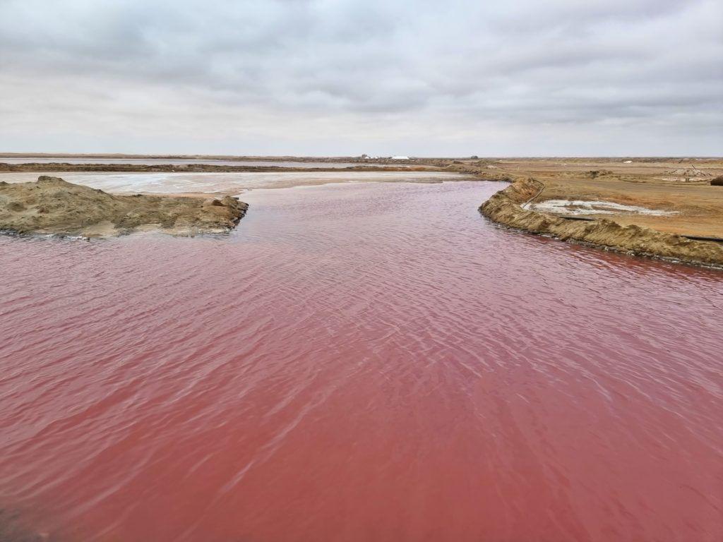 namibia walvis bay pink lake